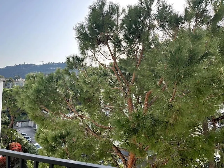 Cannes Montfleury Grand Confort Apartment